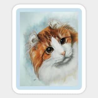 American Curl Portrait Sticker